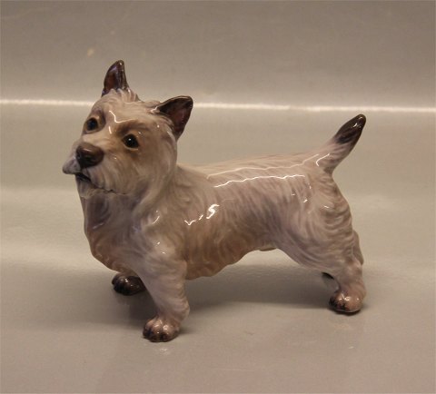 Dahl Jensen 1149 Cairn Terrier (DJ) 14.8 cm Lys version