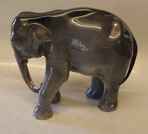 Kongelig Dansk 0501 Kgl. Elefant 18 x 23 cm Th. Madsen 1906 18 x 23 cm