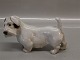 B&G figurB&G 2011 Sealyham Terrier 10 x 17 cm