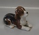Royal Copenhagen figurine 0564 RC Beagle lying 11 x 16 cm B&G 2565
