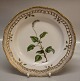 Kongelig Dansk Porcelæn Flora Danica20-3553-3535 "Pyrola secunda L." fra 19675 Fad til stor frugtkurv/ Middagstallerken med gennembrudt kant Nyt nr: 637  25 cm