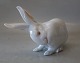 0378  Kgl. Hvid kradsende Kanin 13 x 19 cm Design Erik Nielsen 1902 EN 
 Kongelig Dansk Porcelæn